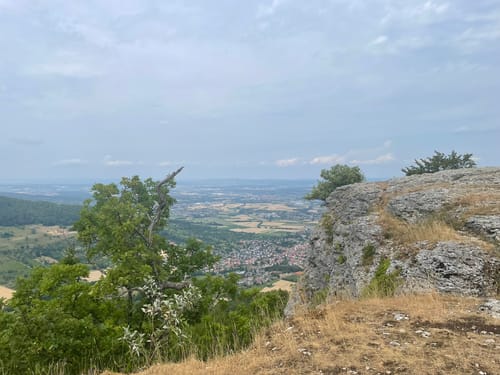 HOCHGEHBERGE I "hochgehadelt" (Premiumwanderweg)