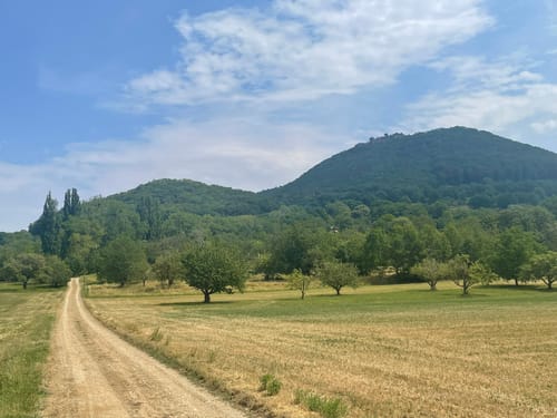 HOCHGEHBERGE I "hochgehadelt" (Premiumwanderweg)
