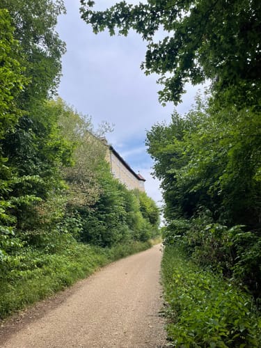 HOCHGEHBERGE I "hochgehadelt" (Premiumwanderweg)