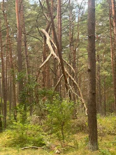 Rund um das Ostseebad Karlshagen