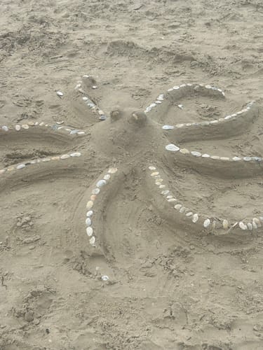 Rund um das Ostseebad Karlshagen