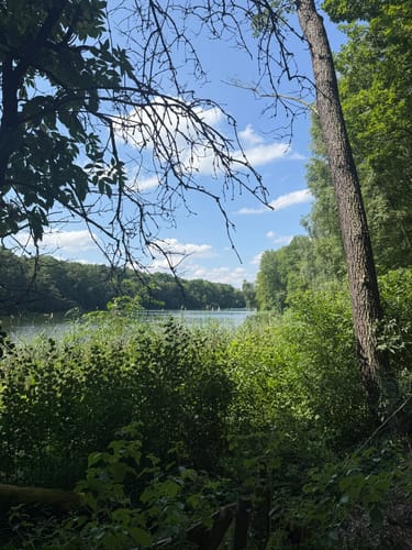 Krumme Lanke