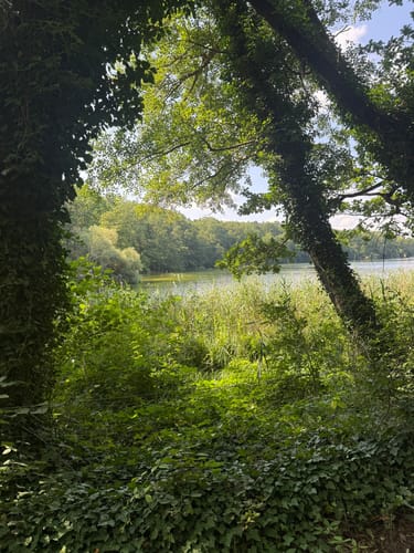 Krumme Lanke