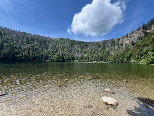 Um den Feldsee