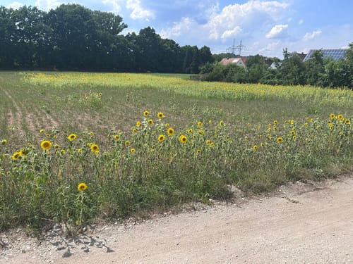 Radtour: Nürnberg - Gebersdorf - Fürth