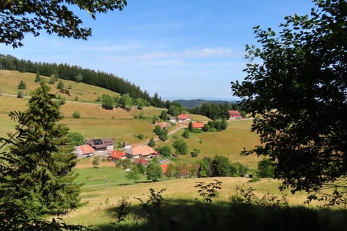 Nonnenmattweiher ab Kreuzweg