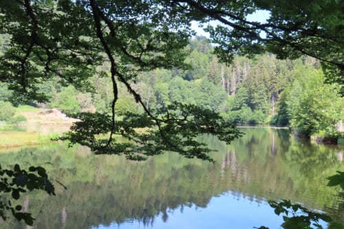 Nonnenmattweiher ab Kreuzweg