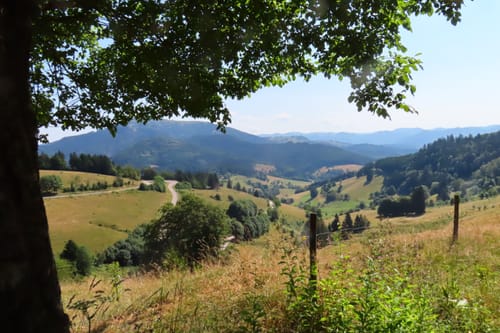 Nonnenmattweiher ab Kreuzweg