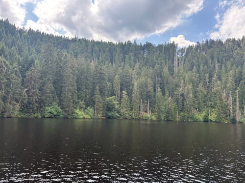 Von Holzwald zum Glaswaldsee
