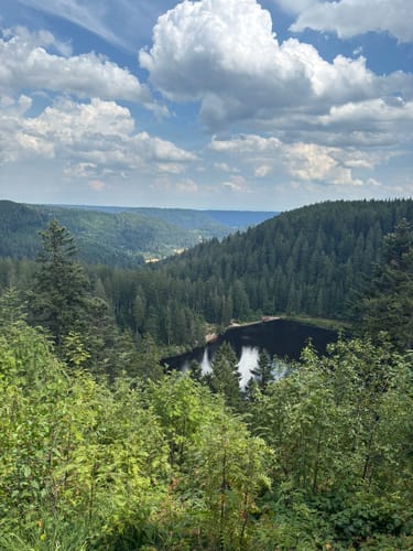 Von Holzwald zum Glaswaldsee