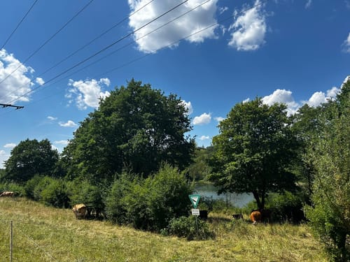 Um den Niddastausee