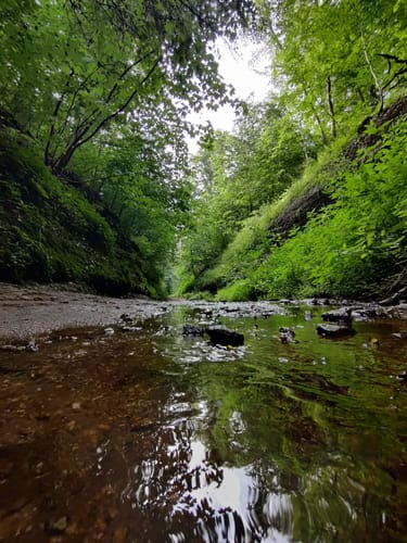 Drachenschlucht