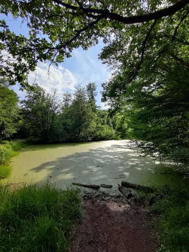 Drachenschlucht