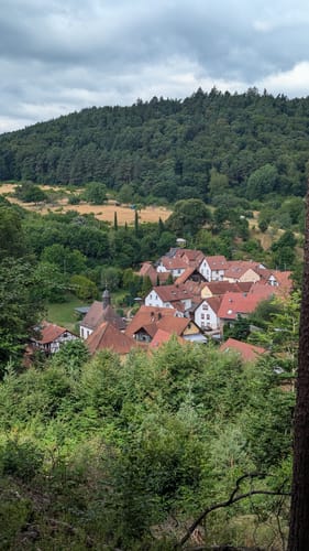 Rund um den Steinkopf (Blankenborn)