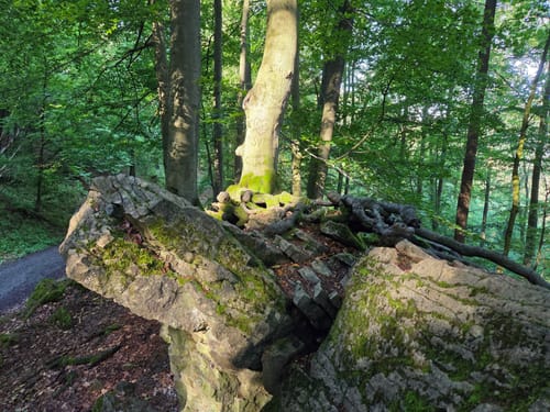 Teufelskanzel - Totental