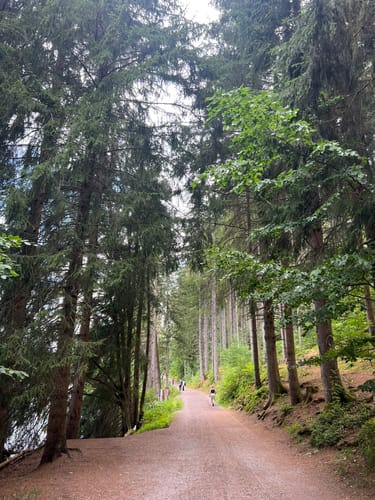 Titisee Rundweg
