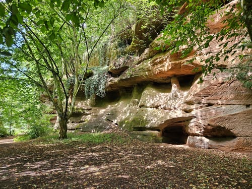 Feucht - Schwarzachklamm