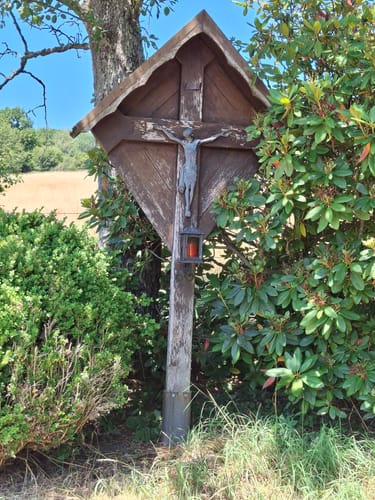Ruwer-Hochwald-Schleife (Traumschleife)