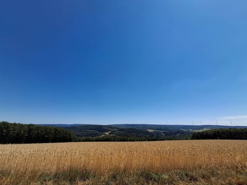 Ruwer-Hochwald-Schleife (Traumschleife)