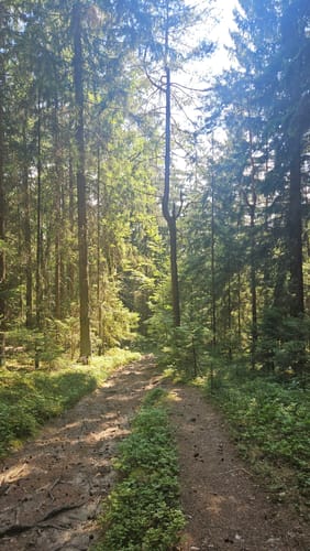 Friedrich-Nitzsche-Weg