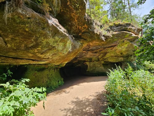 Feucht - Schwarzachklamm