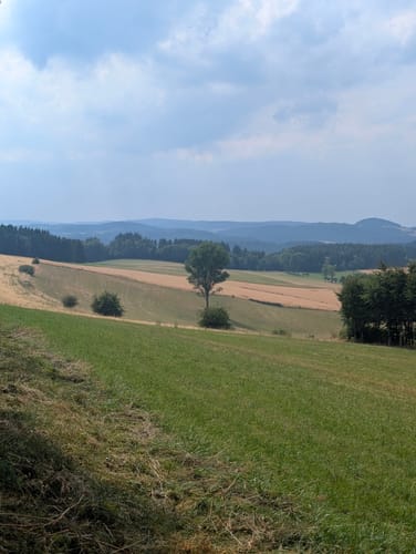 HeimatSpur Großer Dauner