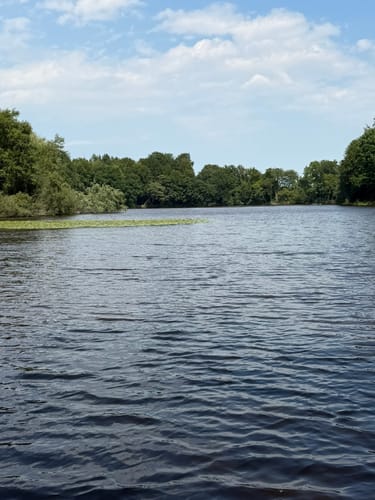 Mühlenteich und Obenstroher Wald