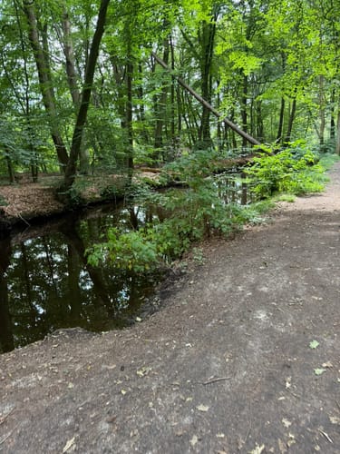 Mühlenteich und Obenstroher Wald
