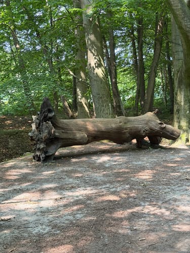 Mühlenteich und Obenstroher Wald