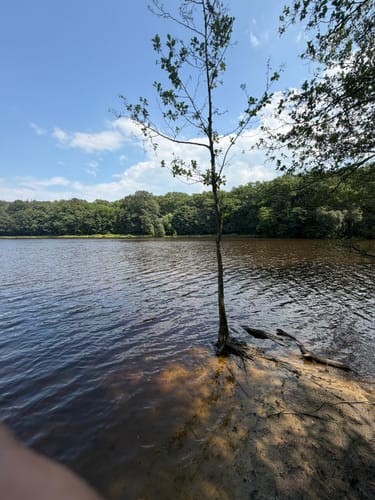 Mühlenteich und Obenstroher Wald