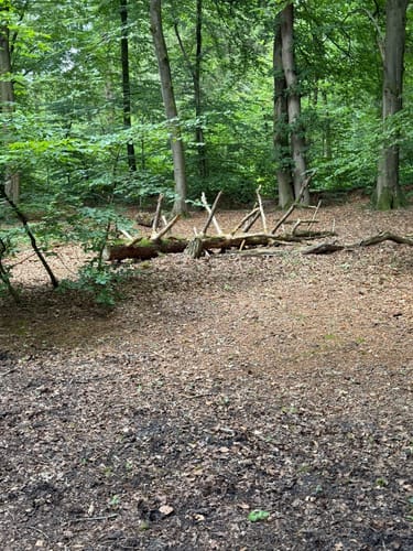 Mühlenteich und Obenstroher Wald