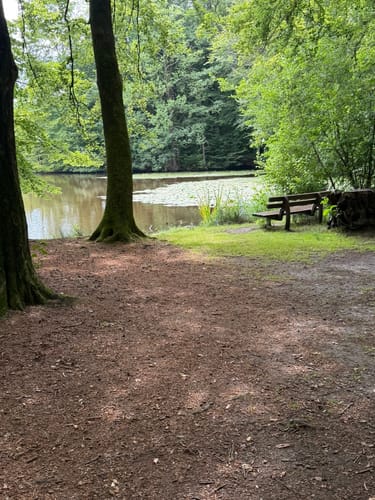 Mühlenteich und Obenstroher Wald