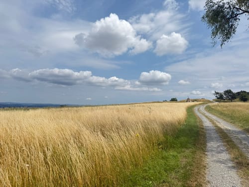 Über den Görauer Anger ins Bärental