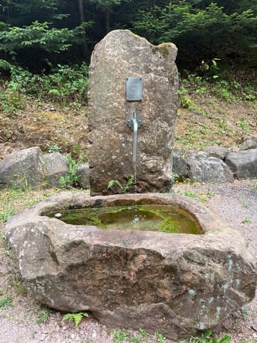 Runde bei Dörlinbach