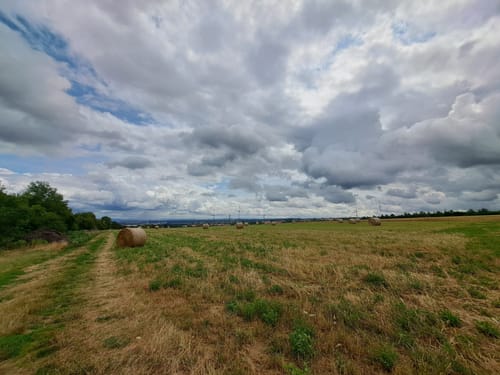 Zschonergrund