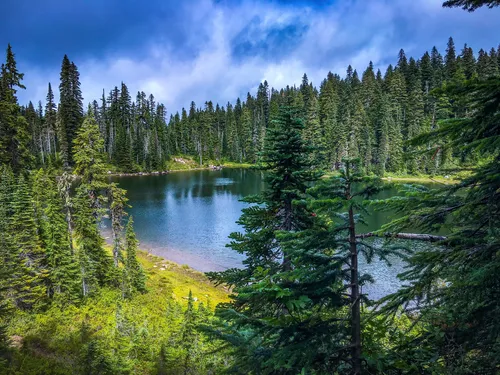 Indian heaven hotsell wilderness hikes