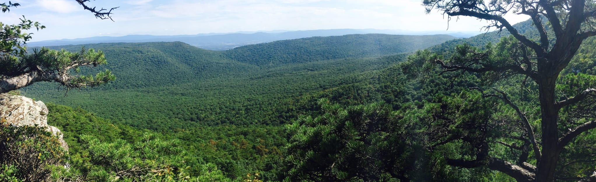 Pond Run and White Rocks Loop Trail 81 Reviews, Map West Virginia AllTrails