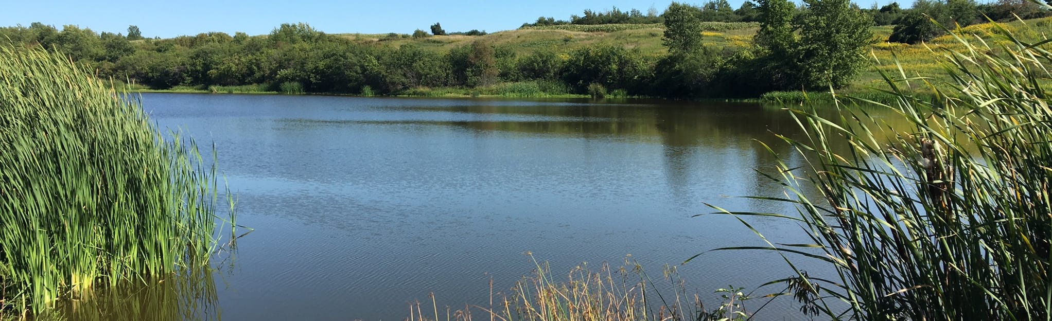 Calcium Trail 175 Reviews, Map New York AllTrails