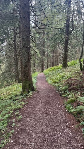 Von Lenggries zum Seekarkreuz 