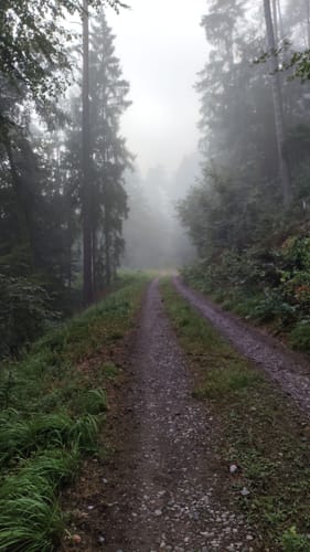 Wilgartswiesen - Weißenberg