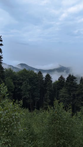 Wilgartswiesen - Weißenberg