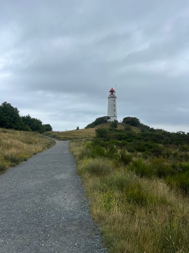 Dornbusch