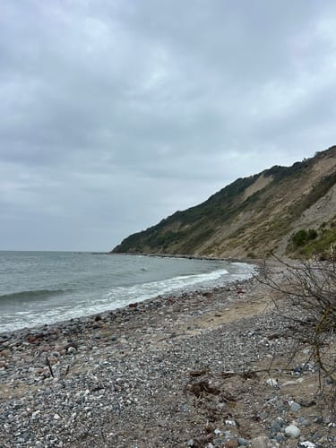 Dornbusch