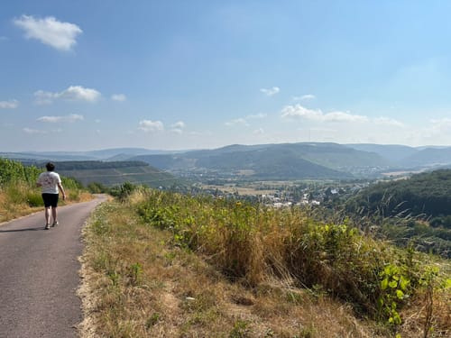 Vom Warsberg nach Ayl