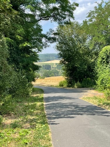 Alzenau 2 : Wald und Wallfahrt