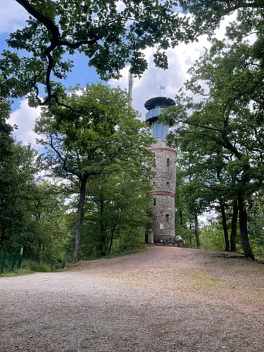 Alzenau 2 : Wald und Wallfahrt