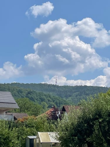 Alzenau 2 : Wald und Wallfahrt