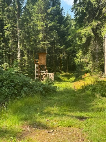 Rundwanderung von Unterstmatt zur Hornisgrinde