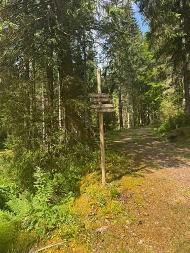 Rundwanderung von Unterstmatt zur Hornisgrinde