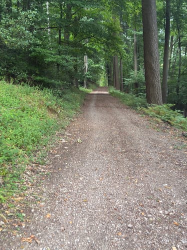 Ebersteinburg-Rundweg (Extratour)
